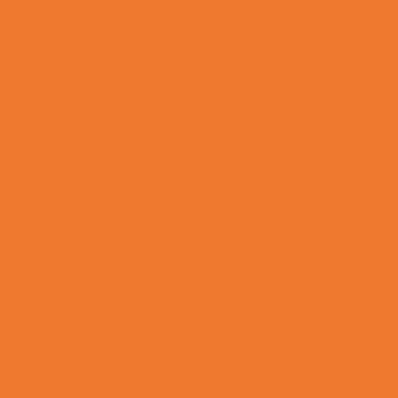 Load image into Gallery viewer, YETI Roadie 24 King Crab Orange 24 qt Hard Cooler (IN-STORE PICKUP ONLY)