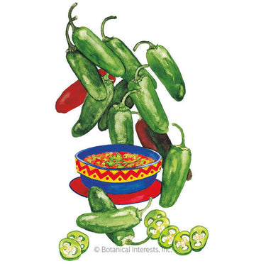 Botanical Interests Early Jalapeño Chile Pepper Seeds
