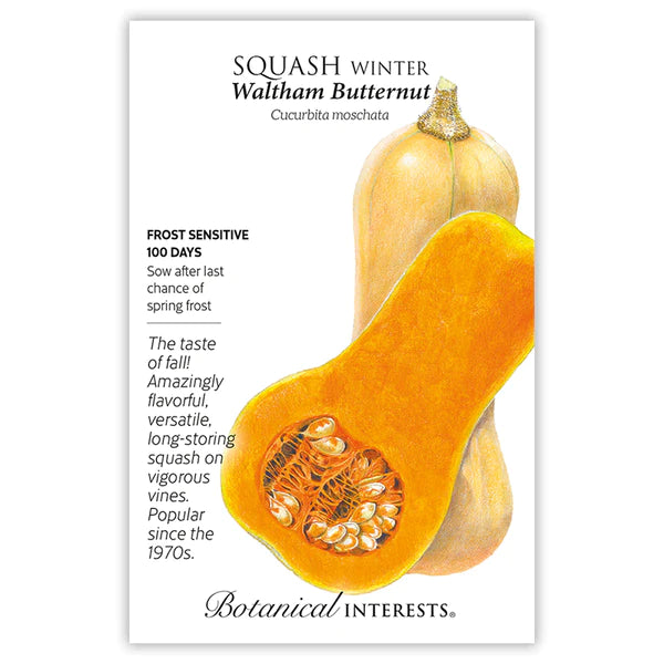 Waltham Butternut Winter Squash Seeds