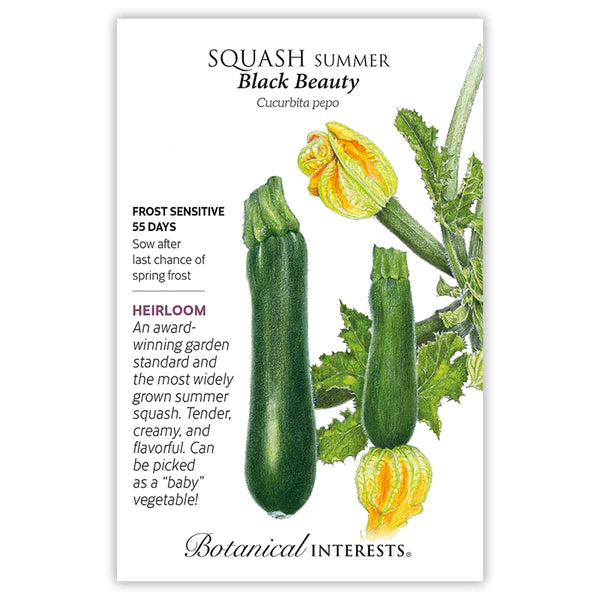 Load image into Gallery viewer, Black Beauty Summer Squash Seeds
