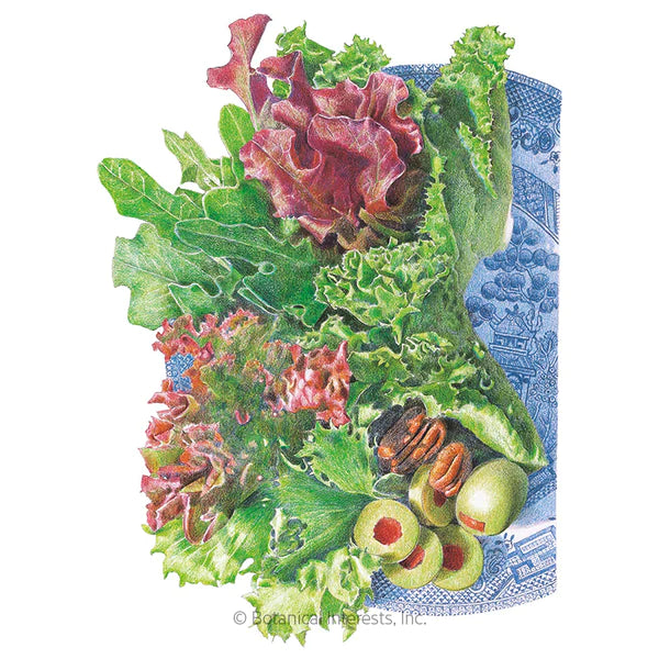 Farmer's Market Blend Mesclun Lettuce Seeds