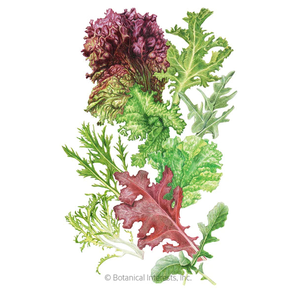 Load image into Gallery viewer, Chef&#39;s Choice Mesclun Lettuce Seeds
