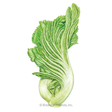 Botanical Interests Gai Choy Mustard Seeds