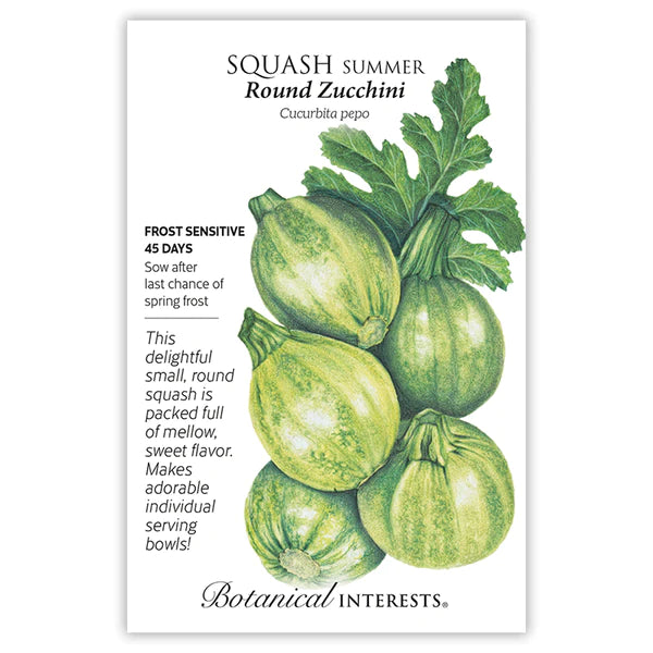 Load image into Gallery viewer, Round Zucchini Summer Squash Seeds
