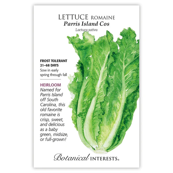 Load image into Gallery viewer, Parris Island Cos Romaine Lettuce Seeds
