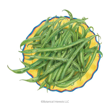 Botanical Interests French Filet Bush Bean Seeds