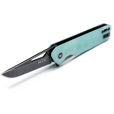 Buck 239 Infusion Modified Tanto Knife - Natural