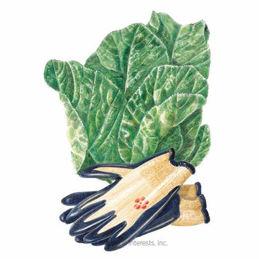 Botanical Interests Florida Broadleaf Mustard Seeds