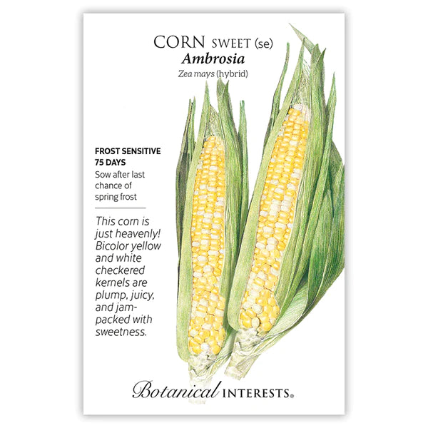 Load image into Gallery viewer, Ambrosia Sweet Corn Seeds
