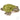 3.5" Mighty Mights Turtle Plush