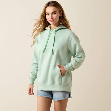 Ariat Logo 2.0 Hoodie (Silt Green) Size XL
