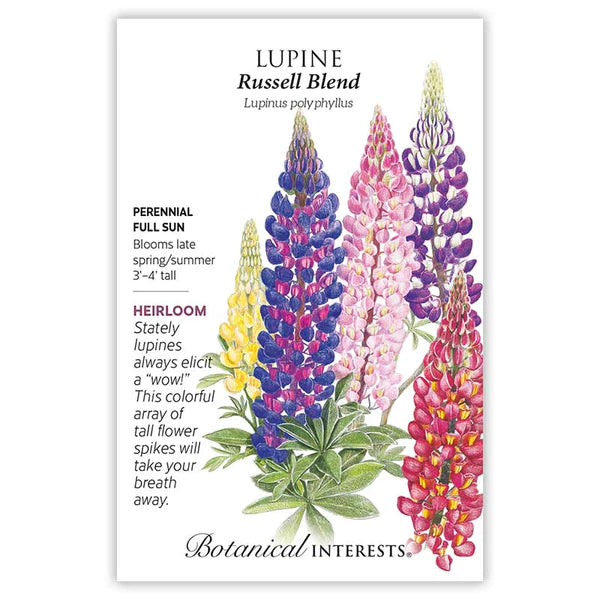 Load image into Gallery viewer, Russell Blend Lupine Seeds
