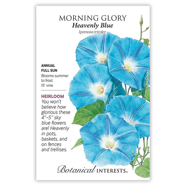 Load image into Gallery viewer, Heavenly Blue Morning Glory Seeds

