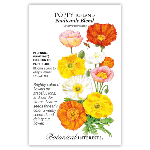 Nudicaule Blend Iceland Poppy Seeds