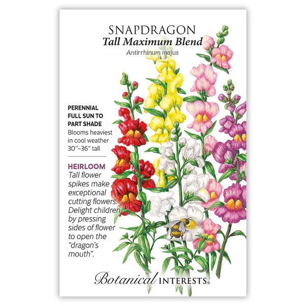 Tall Maximum Blend Snapdragon Seeds