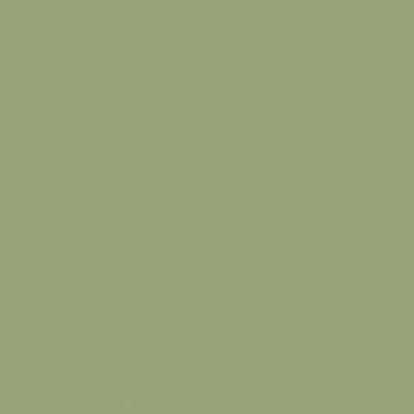 Rust-Oleum Stops Rust Gloss Laurel Green Enamel Spray Paint 12 oz
