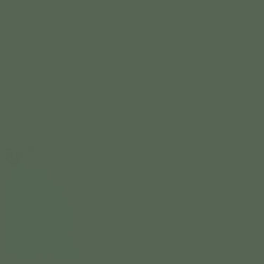 Rust-Oleum Stops Rust Satin Earthy Green Protective Enamel Spray Paint 12 oz