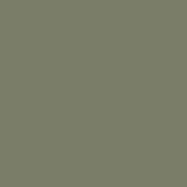 Rust-Oleum Low Odor Matte In The Green Spray Paint 11 oz