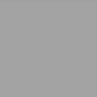 Rust-Oleum Low Odor Matte Dolphin Gray Spray Paint 11 oz