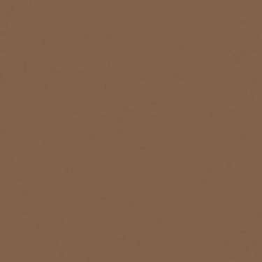 Rust-Oleum Painter's Touch 2X Ultra Cover Gloss Latte Paint+Primer Spray Paint 12 oz