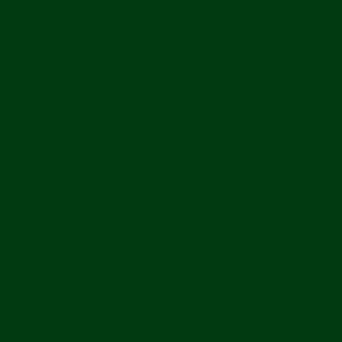 Rust-Oleum Stops Rust Gloss Cypress Green Protective Enamel Spray Paint 12 oz