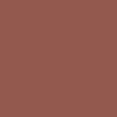 Rust-Oleum Stops Rust Flat Brown Primer Spray 12 oz