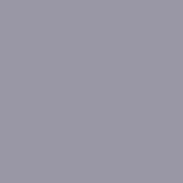 Rust-Oleum Stops Rust Flat Light Gray Primer Spray 12 oz