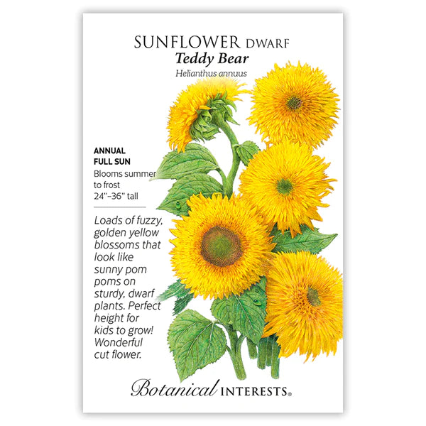 Load image into Gallery viewer, Teddy Bear Dwarf Sunflower Seeds
