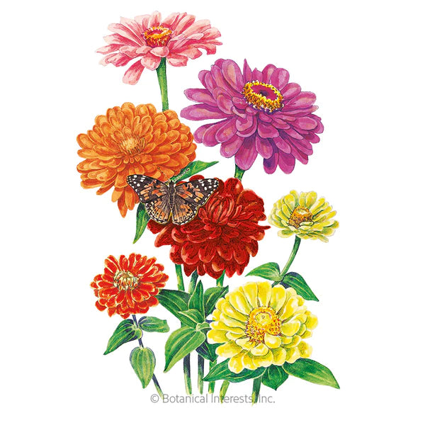 Load image into Gallery viewer, California Giants Blend Zinnia Seeds
