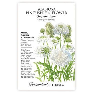 Botanical Interests Snowmaiden Scabiosa Seeds
