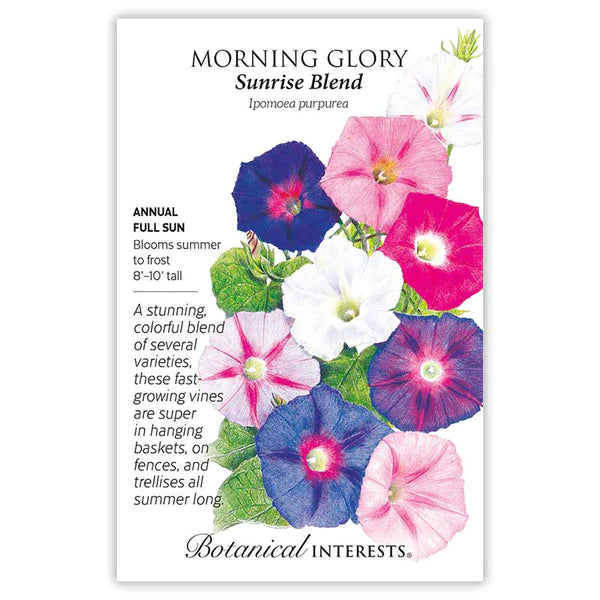 Load image into Gallery viewer, Sunrise Blend Morning Glory Seeds
