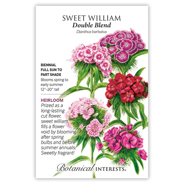 Load image into Gallery viewer, Double Blend Sweet William Seeds
