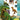 Dinosaur Stickers