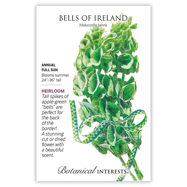 Load image into Gallery viewer, Bells of Ireland Seeds
