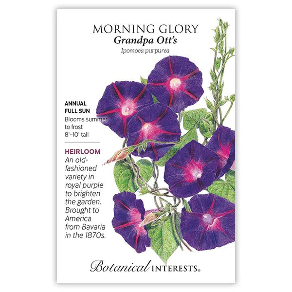 Load image into Gallery viewer, Grandpa Ott&#39;s Morning Glory Seeds
