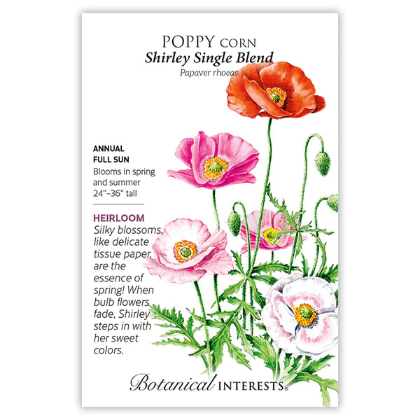 Load image into Gallery viewer, Shirley Single Blend Corn Poppy Seeds
