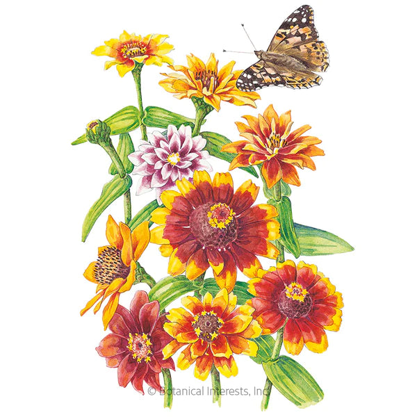 Load image into Gallery viewer, Persian Carpet Zinnia Seeds

