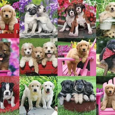 Jigsaw Puzzle Puppy Pals - 500 Pieces Puzzle