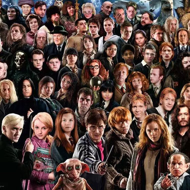 Jigsaw Puzzle Harry Potter Challenge - 1000 Pieces Puzzle
