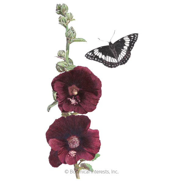 Load image into Gallery viewer, The Watchman Hollyhock Seeds
