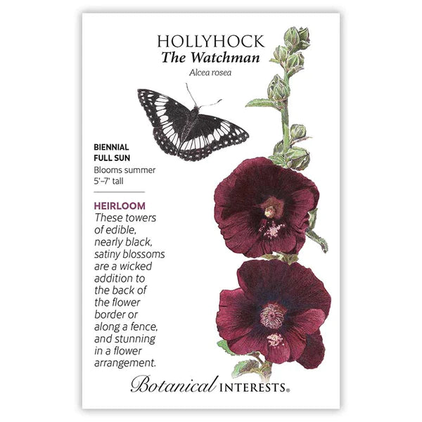 Load image into Gallery viewer, The Watchman Hollyhock Seeds
