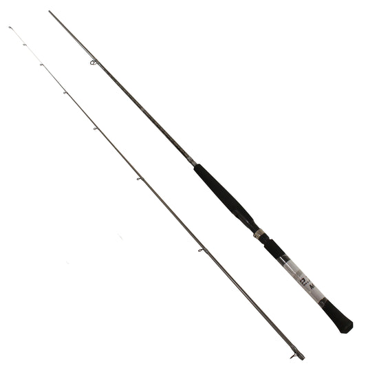 Berkley 10’ C-Series Crappie Pro Spinning Rod One Piece Spinning Rod 2pc