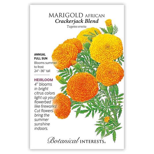 Crackerjack African Marigold Seeds