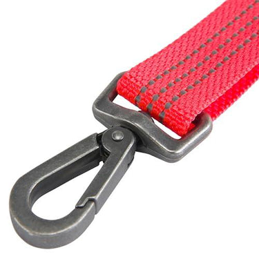 Carhartt Pet Durable Nylon Webbing Leashes for Dogs (Coral Glow) Size L