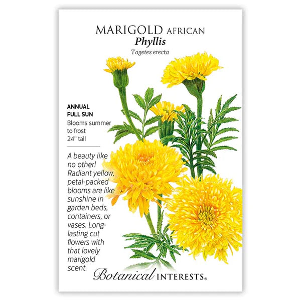 Load image into Gallery viewer, Phyllis African Marigold Seeds
