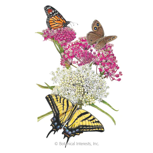 Load image into Gallery viewer, Irresistible Blend Milkweed/Butterfly Flower Seeds
