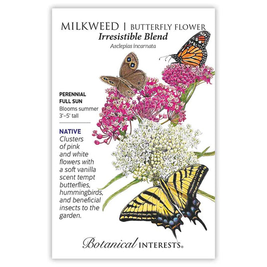 Irresistible Blend Milkweed/Butterfly Flower Seeds