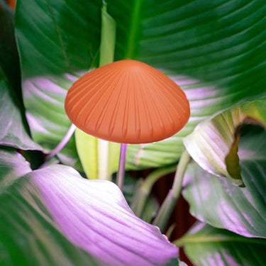 Kikkerland Mushroom Grow Light
