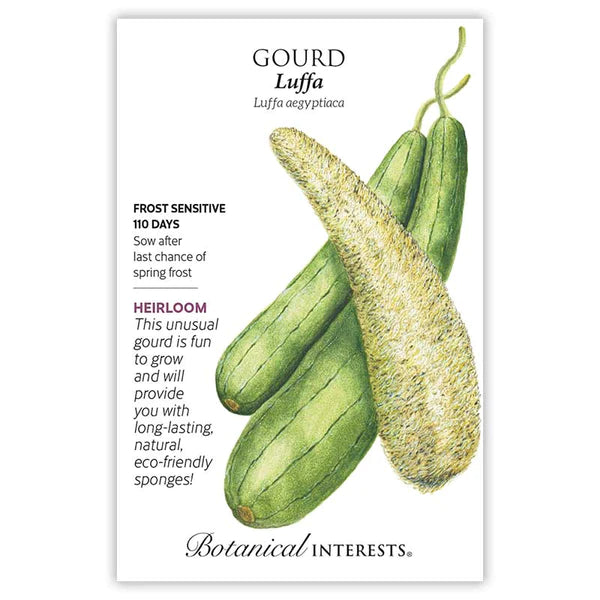 Load image into Gallery viewer, Luffa Gourd Seeds
