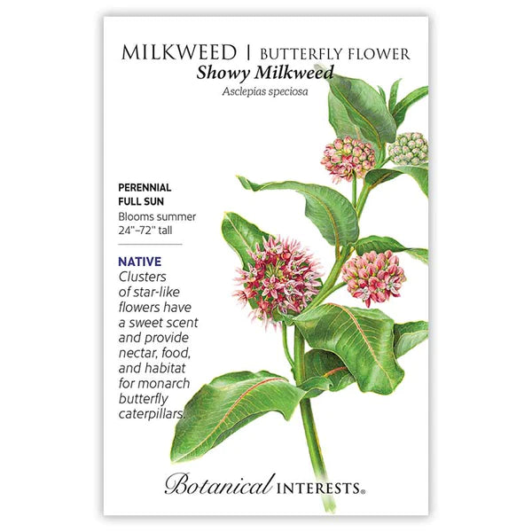 Load image into Gallery viewer, Showy Milkweed/Butterfly Flower Seeds
